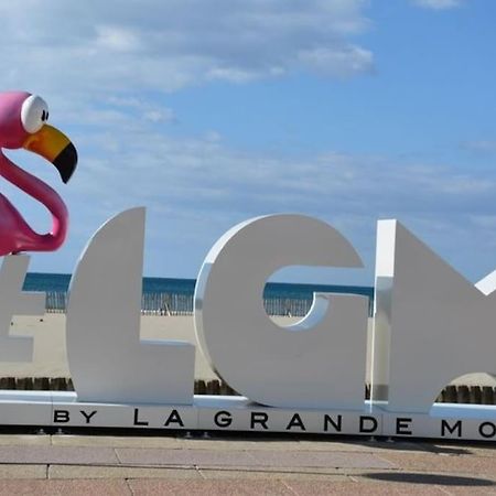 Superbe Studio Au Calme A 8Mn De La Plage 라그랑모트 외부 사진