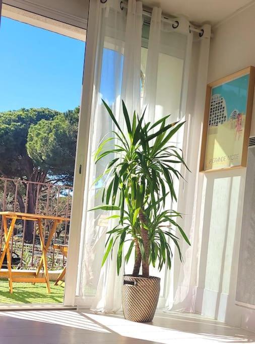 Superbe Studio Au Calme A 8Mn De La Plage 라그랑모트 외부 사진